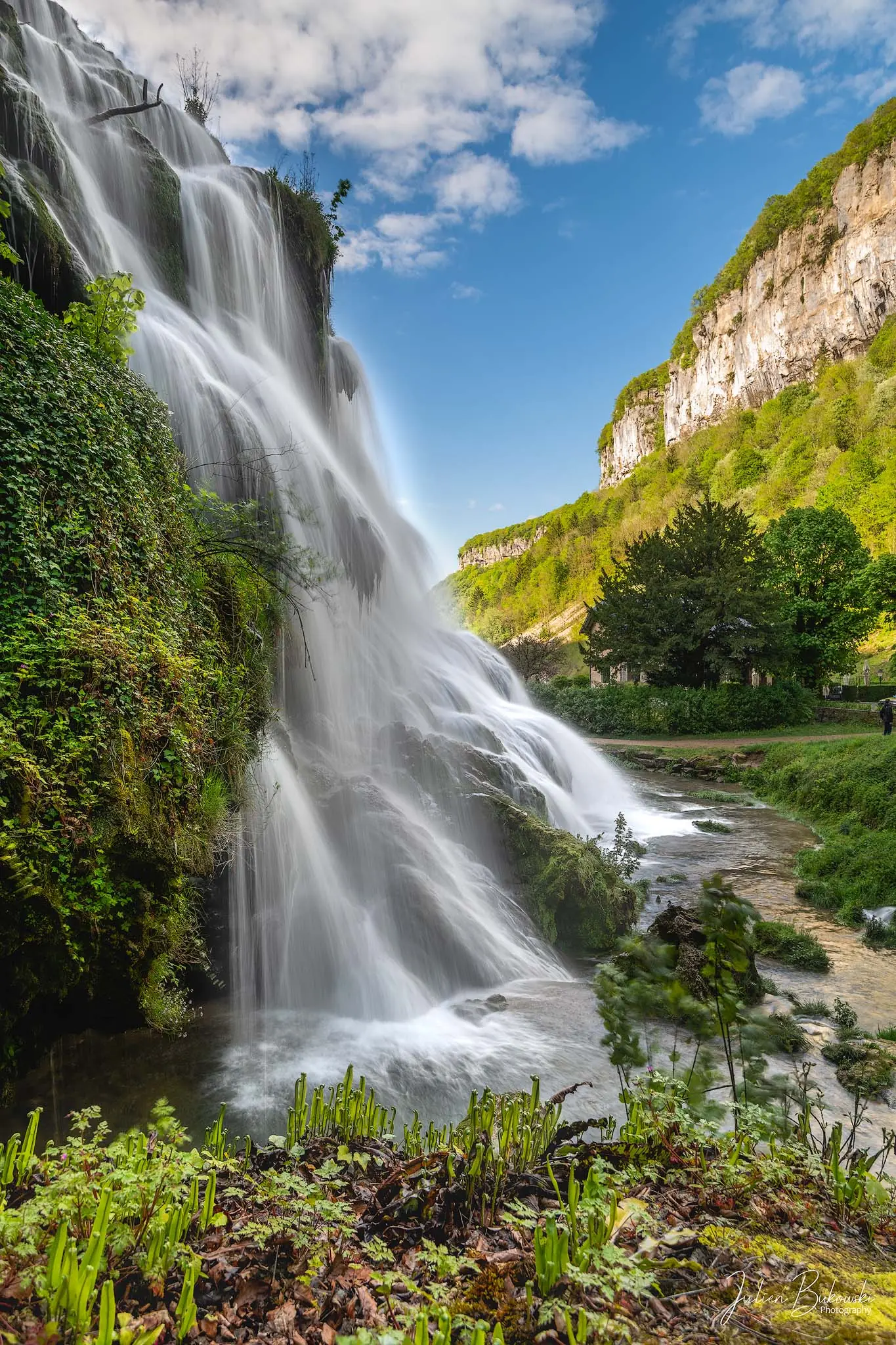 La cascade cadrée de près en vertical, avec des fougères au premier plan et une falaise ensoleillée au fond.