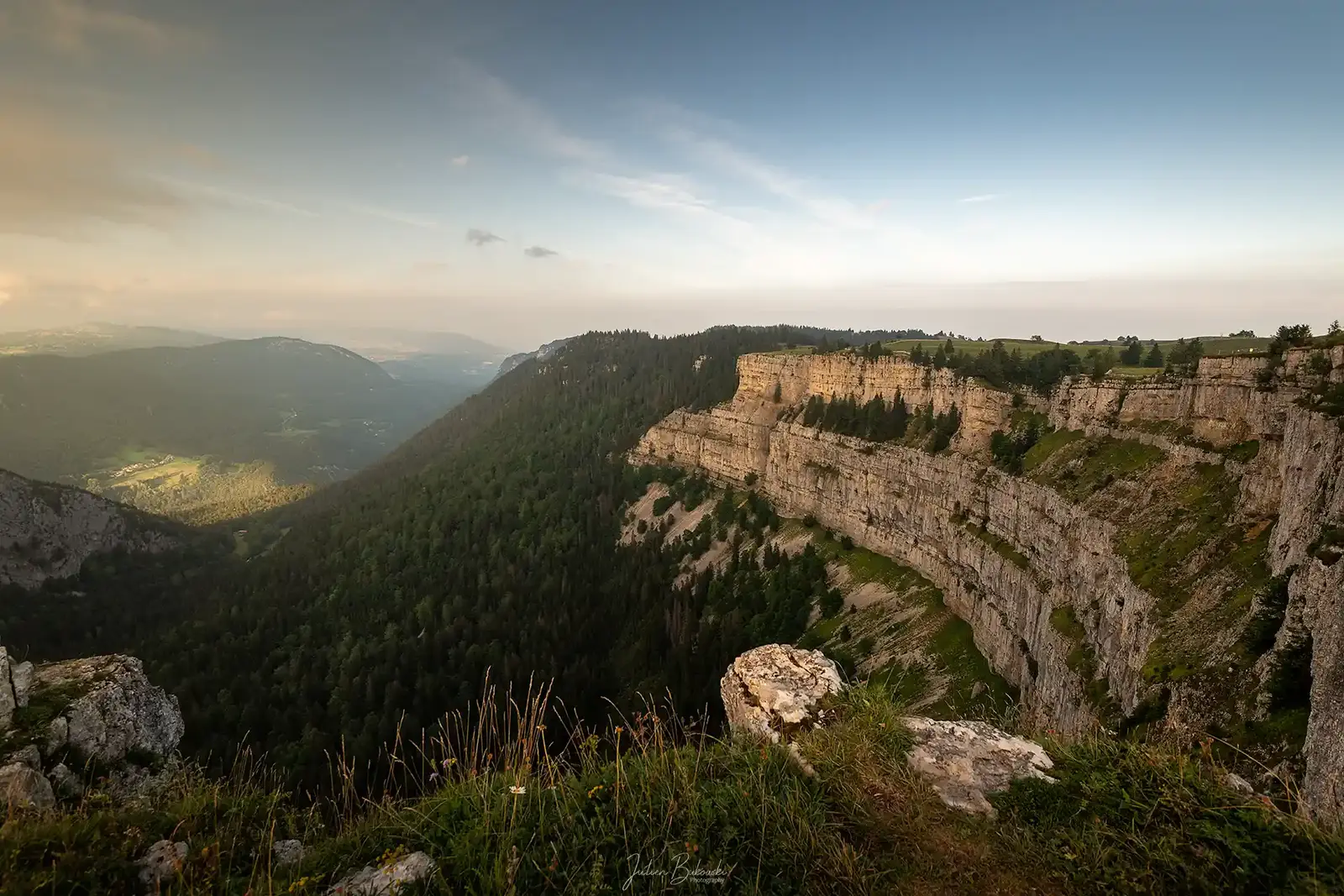 Un soir d'été depuis le bord : la paroi stratifiée en courbe, le plateau en pâturages et, au fond, la forêt du cirque.