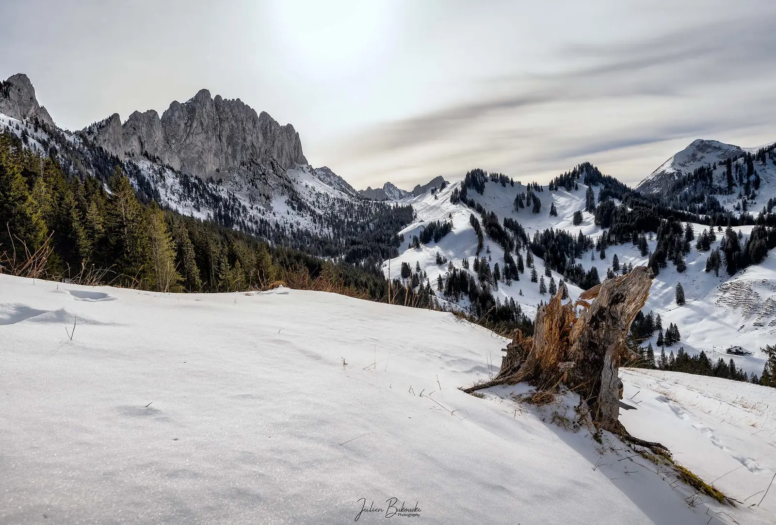 Pente enneigée avec une souche au premier plan. Une crête de dents calcaires se dresse au-dessus de collines boisées saupoudrées de neige, sous un ciel voilé d'après-midi.