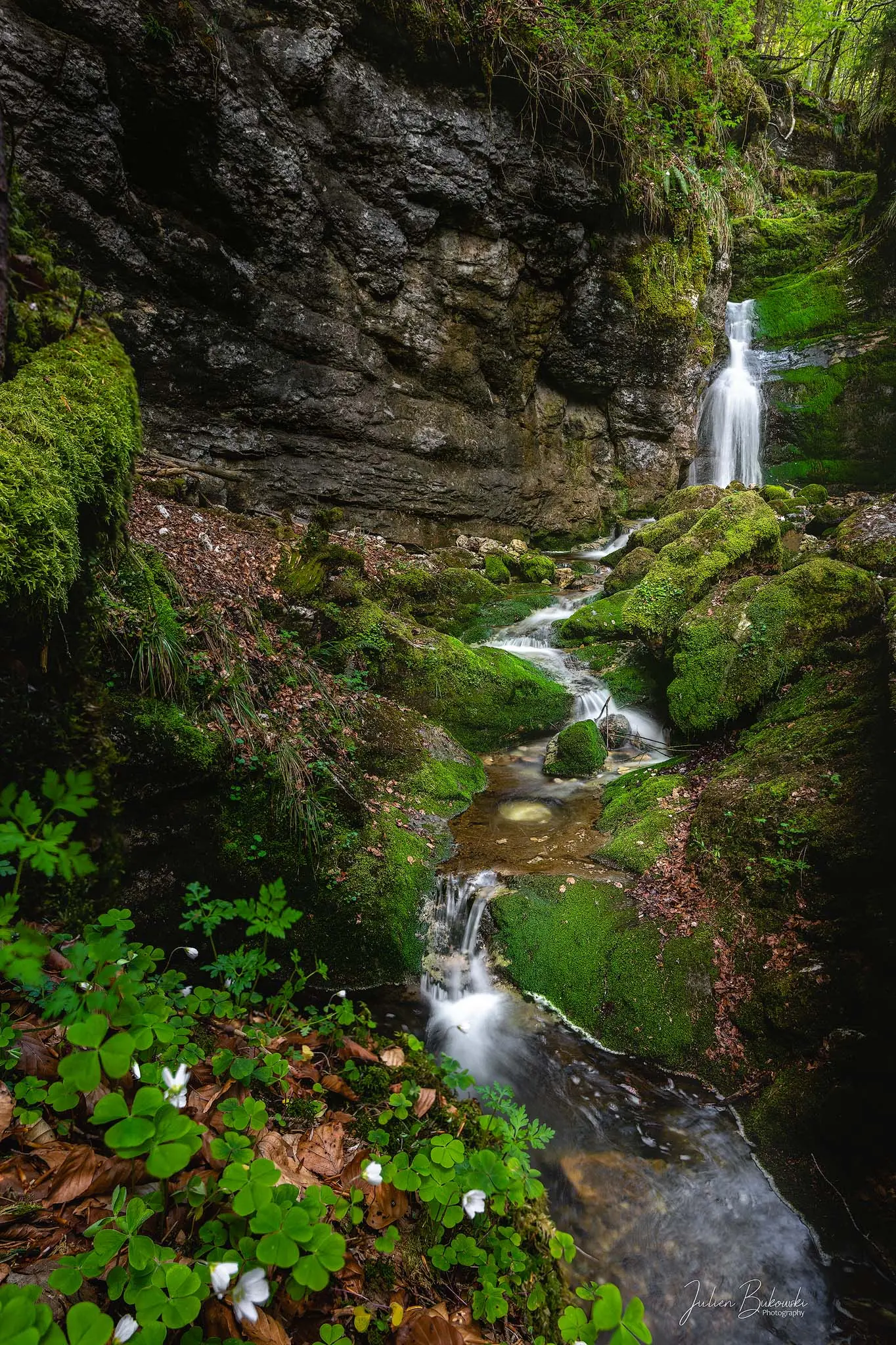 Petite chute au fond, puis un ruisseau qui descend entre des blocs moussus. Au premier plan, des fleurs blanches et un tapis de feuilles mortes.