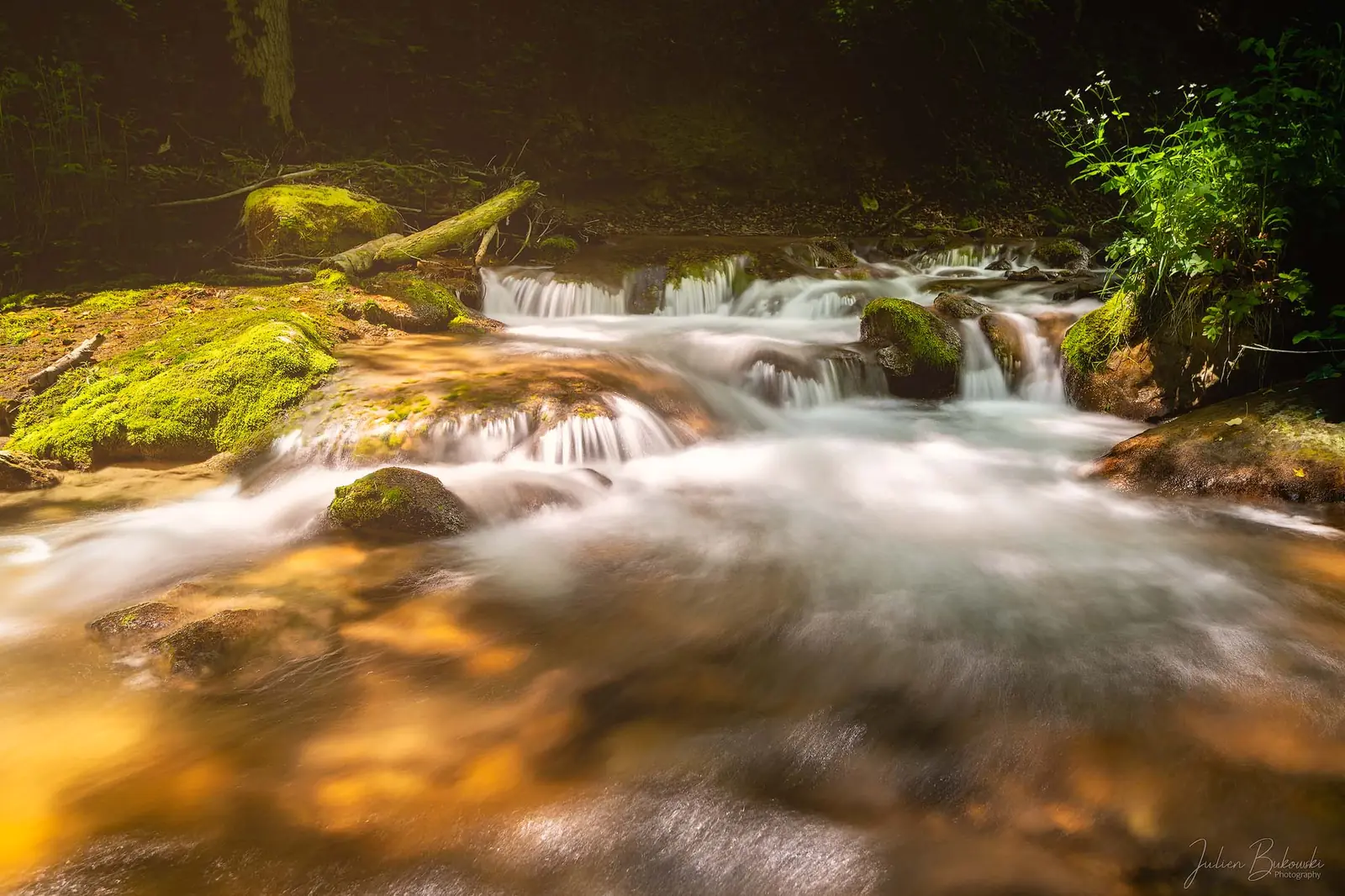 Ruisseau en cascades basses entre des pierres moussues. L'eau au premier plan prend des reflets dorés sous une lumière chaude rasante.