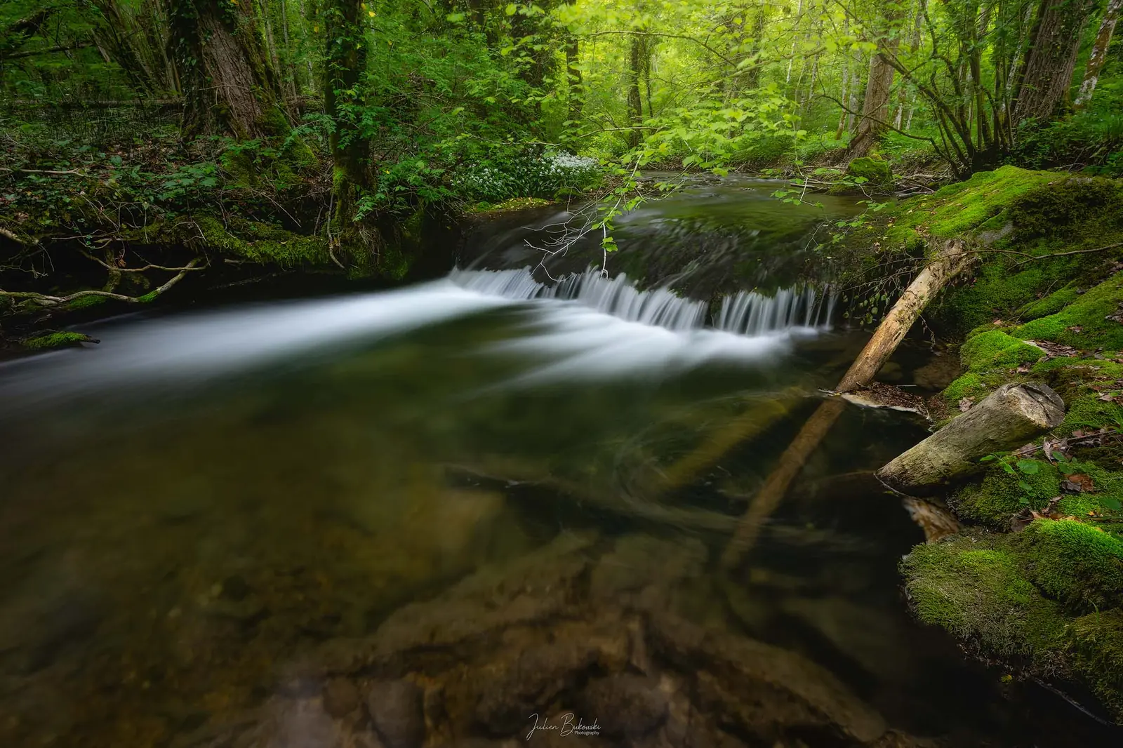 Petit seuil d'eau blanche dans une forêt de feuillus. Des branches mortes et des rives moussues se reflètent dans la vasque calme au premier plan.
