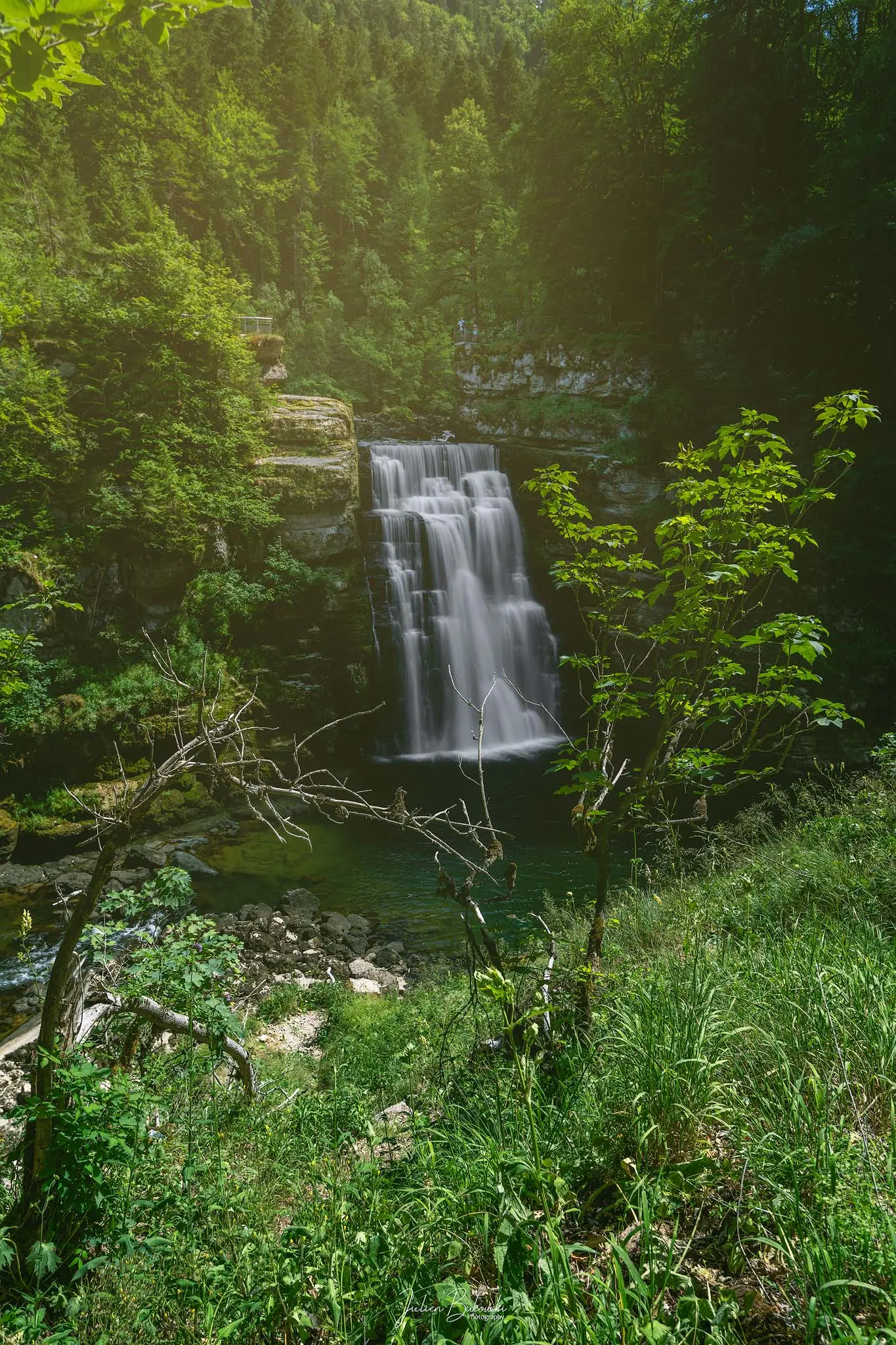 Chute d'eau vue de côté, à travers une végétation d'été dense. Herbes hautes et arbustes au premier plan, soleil voilé au-dessus de la forêt.