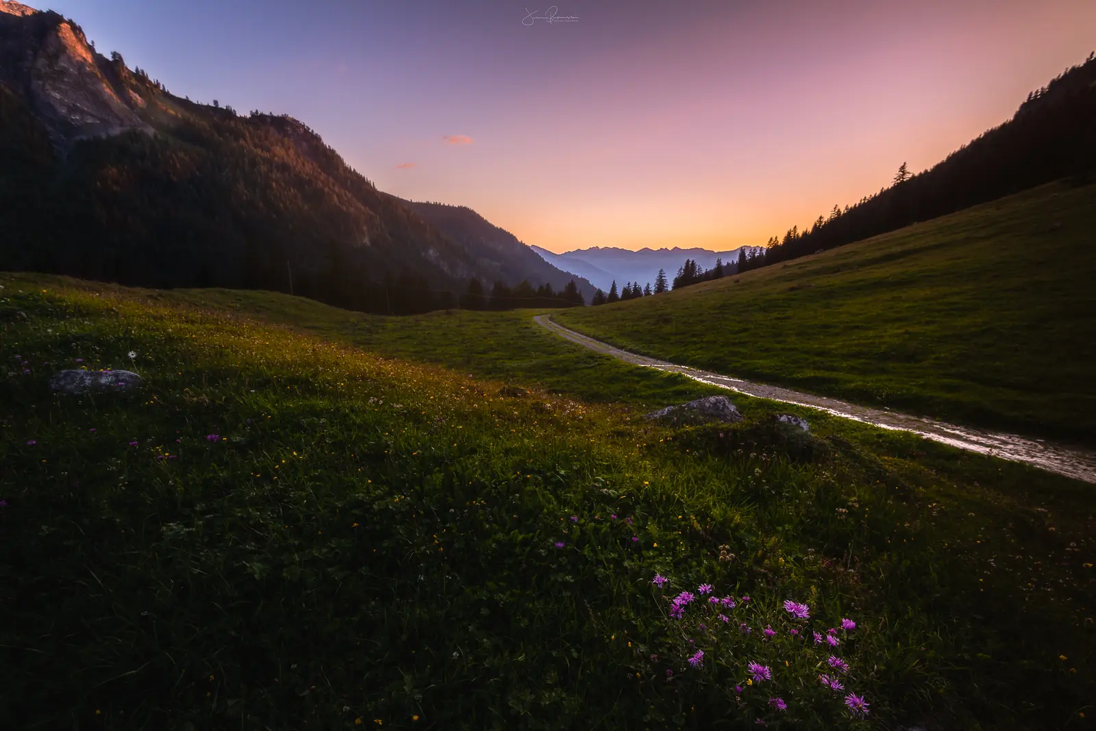 Un chemin monte en courbe dans un pâturage, avec des fleurs mauves au premier plan. Le ciel est rose et orange après le coucher du soleil, entre deux pentes.